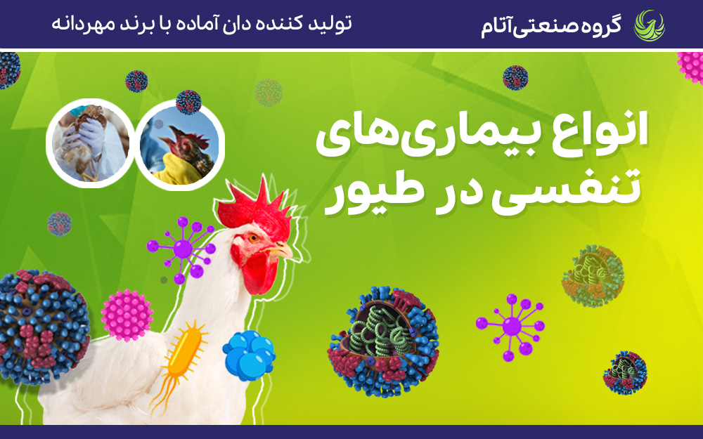 انواع بیماری‌های تنفسی در طیور